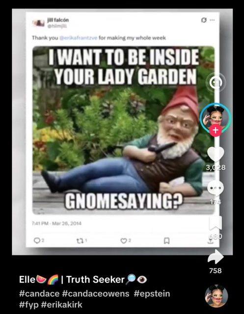 MyBlueHouse tweet media