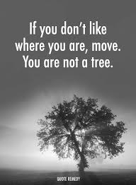 I love the quote of "Jim Rohn"