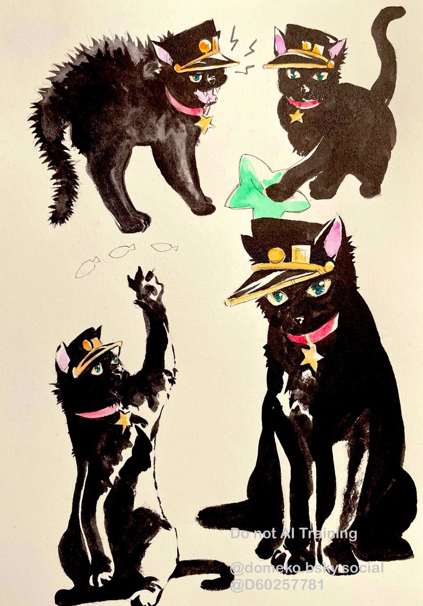 ど、。 tweet media