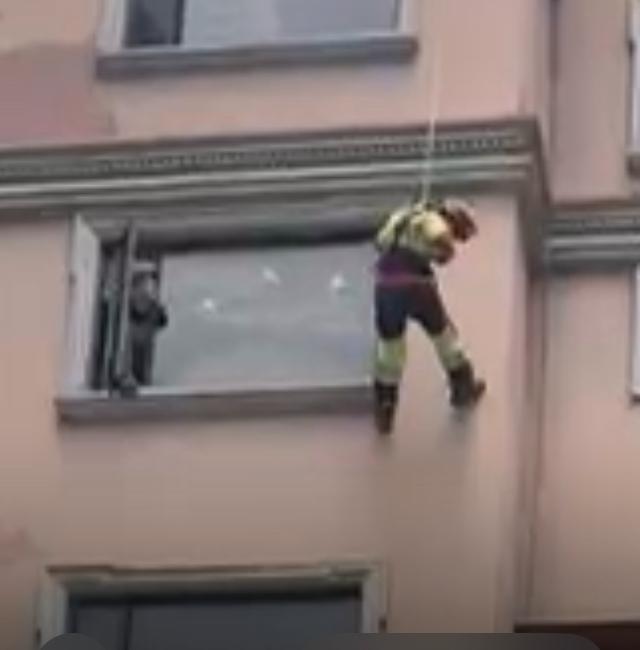ComiteSalvador's tweet photo. ¡Gracias infinitas a @BomberosQuito @ECardenasVarela  por su valiente y rápida intervención! Rescataron con éxito a un #Husky atrapado en el filo de una ventana #Quito #Hipercentro. Su dedicación a salvar vidas, incluidas las nuestras 🐾#Notimercio #ComunidadQuito #RescateAnimal https://t.co/h7eNzVt85p