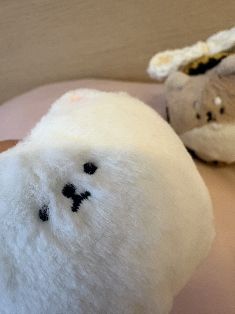 ぽめに🐝になってもらった💕
ぽめさきの分は今からだよ！まってて！ないって怒らないで·····！