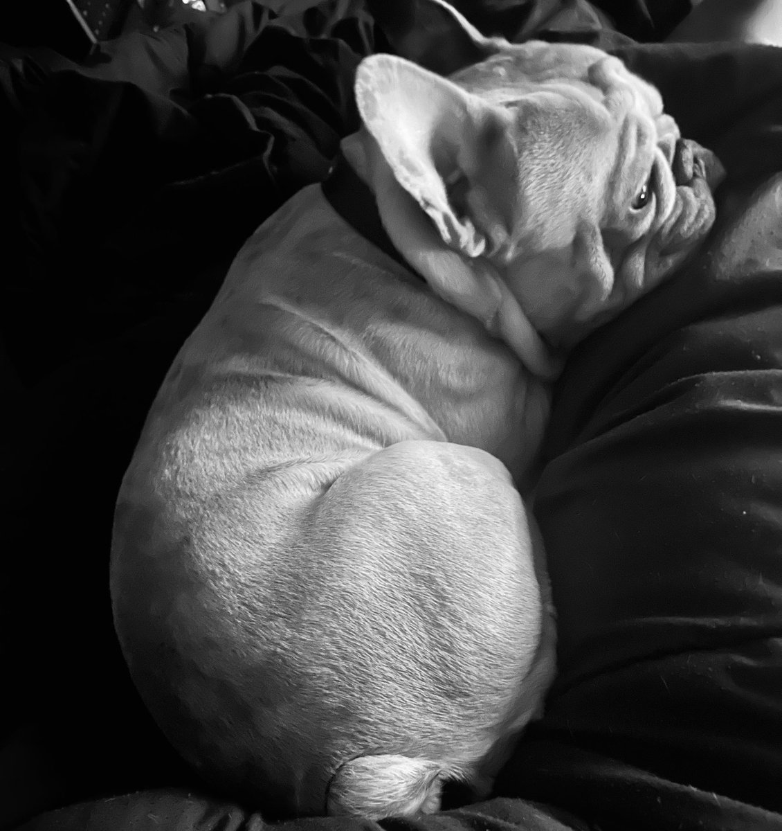 Jᴏᴋʀᴇʟʟᴀ | ᴀʟᴀɴɴᴀ ᴇ. tweet media