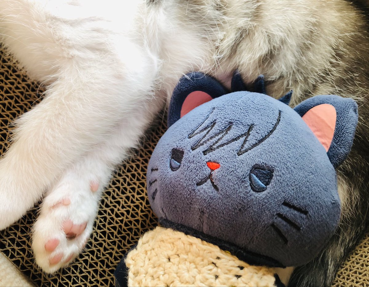 ねこさんの日ですにゃ〜」