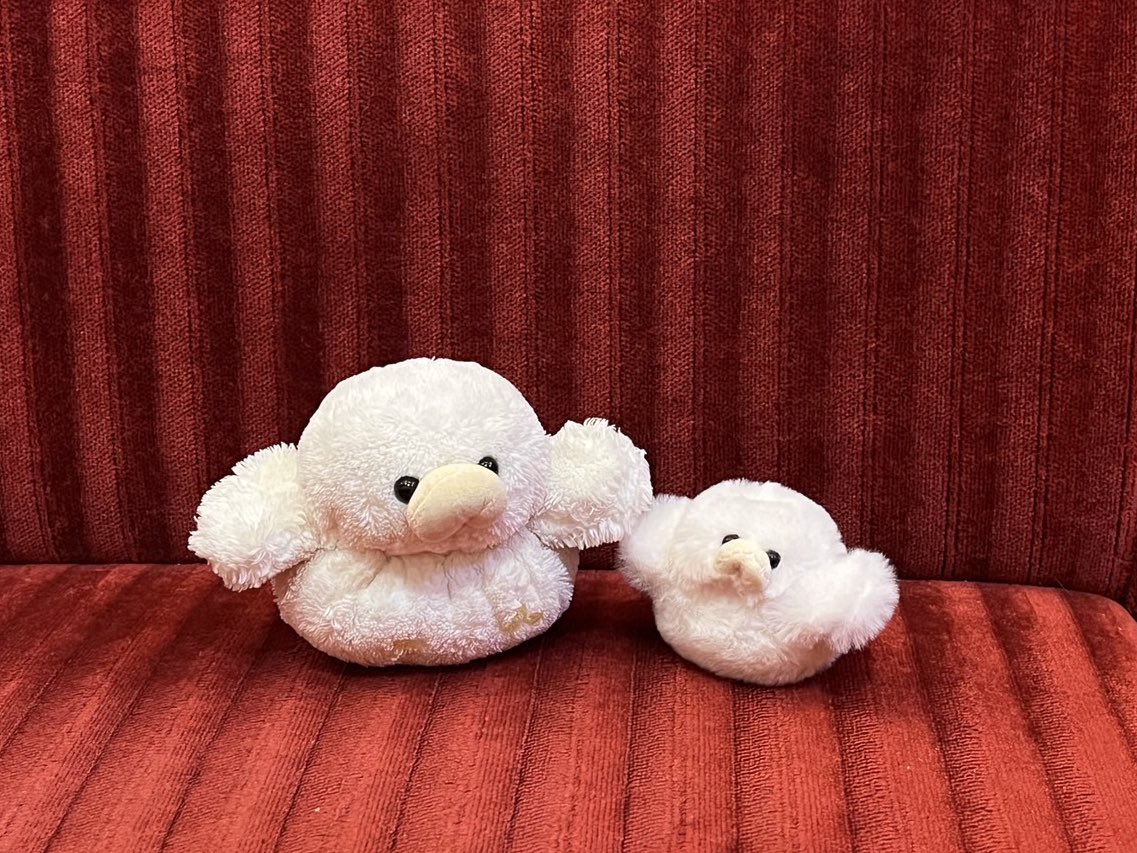 ___doudou_____'s tweet photo. #三連休はフォロワーさんが増えるらしい https://t.co/N4ly5SB3vI