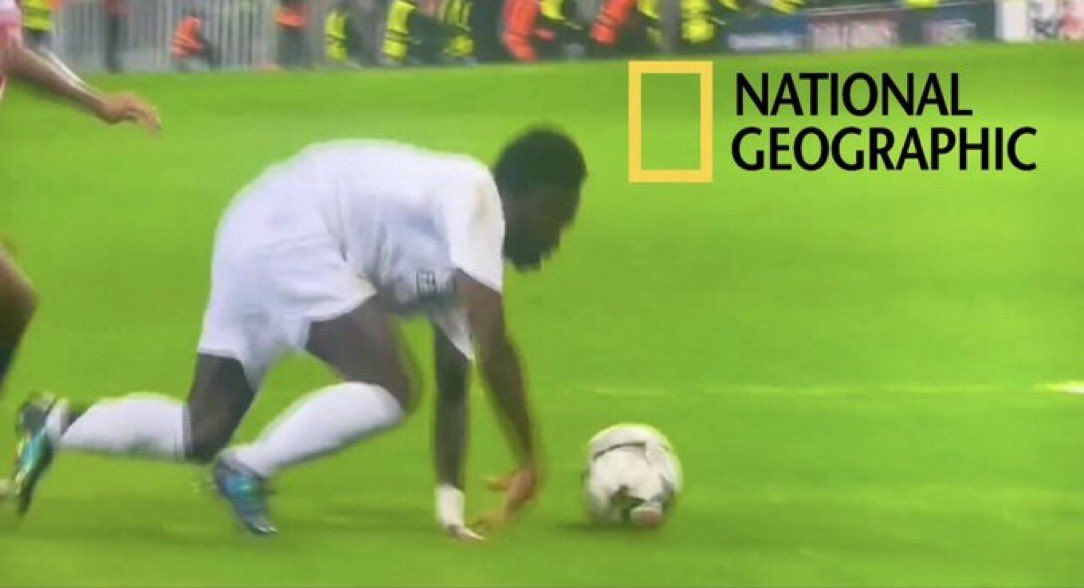 Eu farei: "no entiendo por qué me llaman mono"

Eu farei en literalmente cualquier partido:

#FREEFAUNA
#VINICIUSMONO