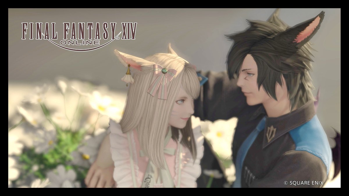 トラちゃん (@tora_cyatora) / Posts / X