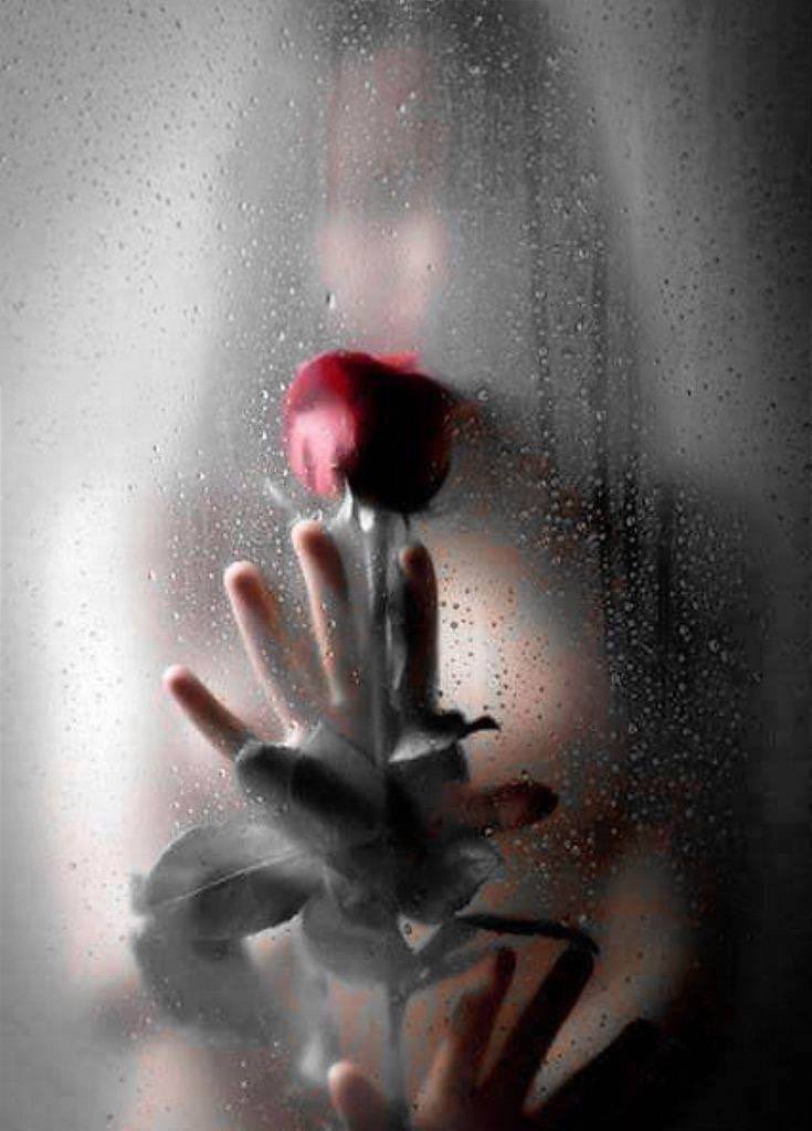 قالوا ..
يظل هناك شخص دائماًمختلف الحضوروالحديث حتىَ نوع من السعادة التي يزرعهابداخِلك تكون مختلفه.
ويظلّ هذا الشخص نعمة لاتتكرر 🌸
حضوره طمأنينة،وحديثه راحة،
وسعادته التي يزرعها في القلب لاتشبه سواها..
كأنه يأتي ليذكّرك أن الجَمال مازال موجودًا،وأن القلوب مازالت قادرة على الفرح.