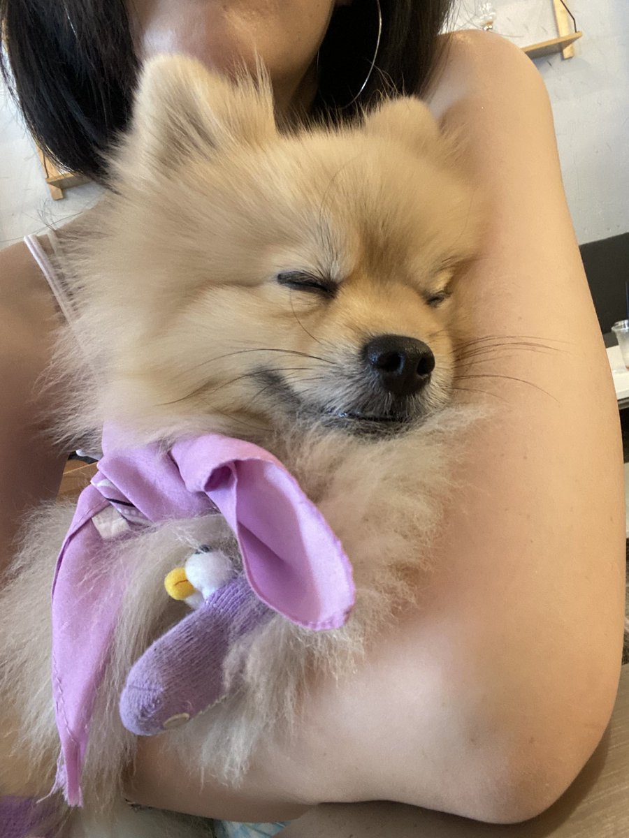 dekblablabla's tweet image. อยากรอ แต่ต้องกลับแล้ว เด็กไม่ไหวละ เจอกันพนนี้ที่งานคาเฟ่ chumchum grocery ฮะ 🥹💜