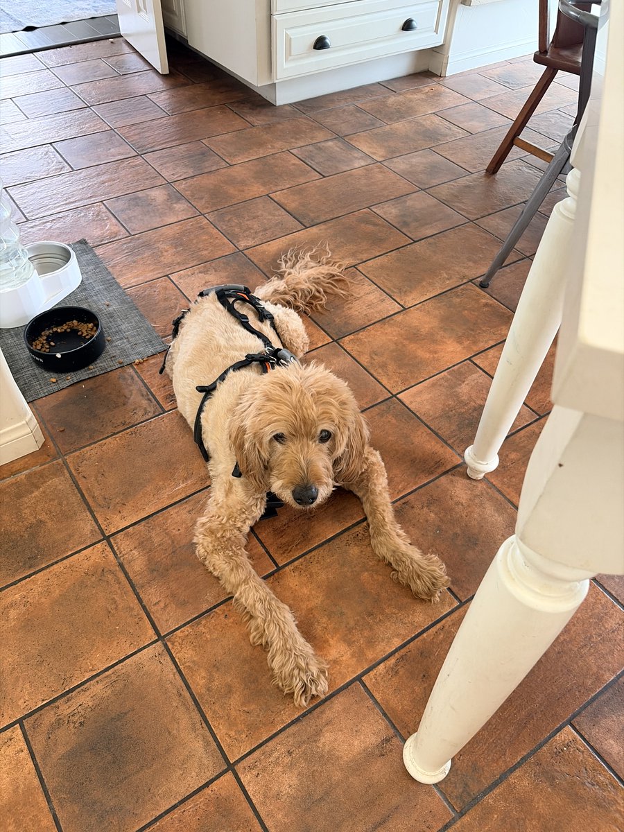 Dr Terry Simpson tweet media