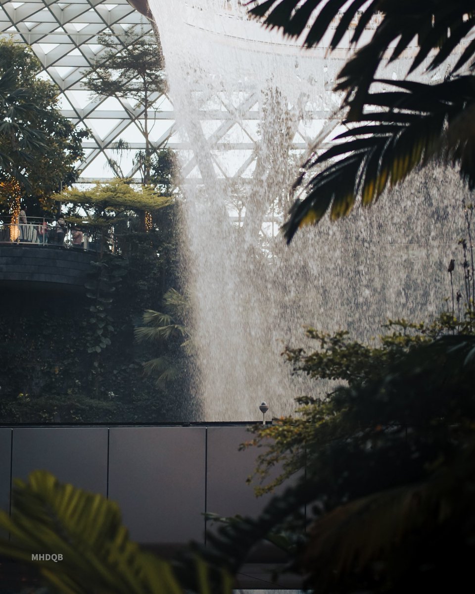 mohdnaqibhakimi's tweet image. Jewel Changi, 31 Dec 2025
.
.
.
#changiairport #singapore #sonya6000 #fe85mmf18 #lightroommobile