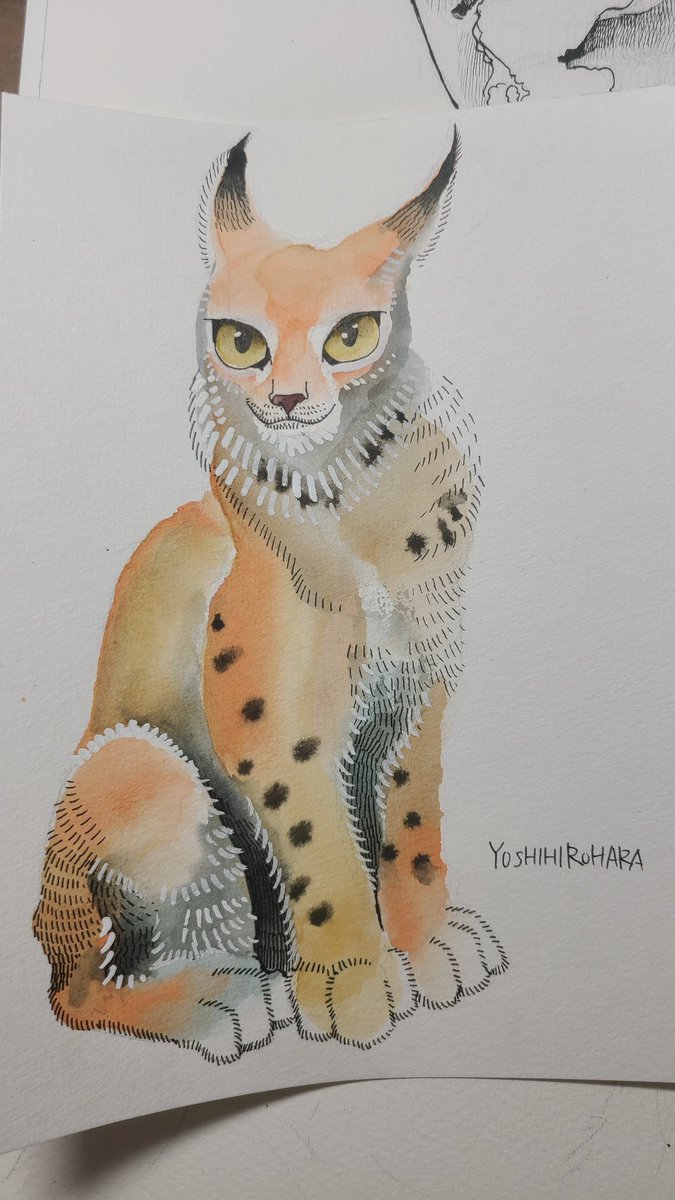 #猫の日