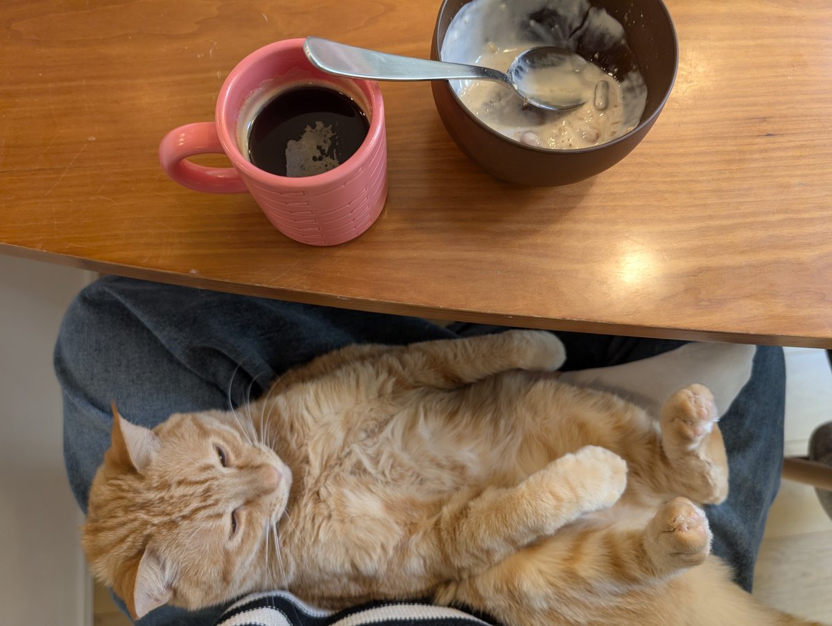 yamomi(Haruna Miyamoto) tweet media