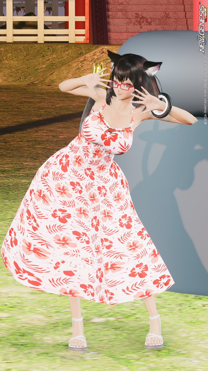 猫の日だニャン🐈