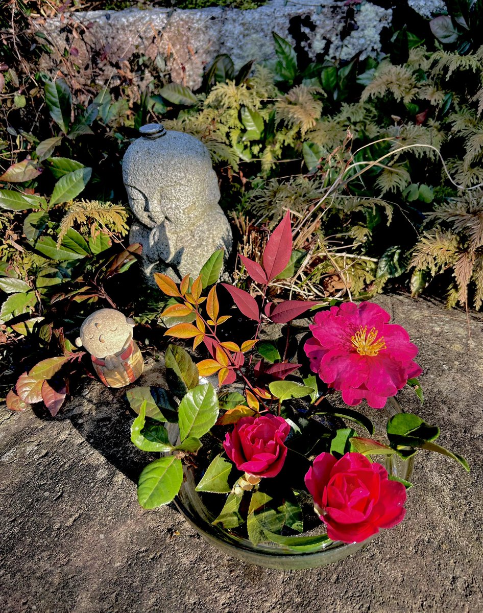 山茶花と南天の葉 毎日同じ花ばかりです もう少しすると色々な花が咲い