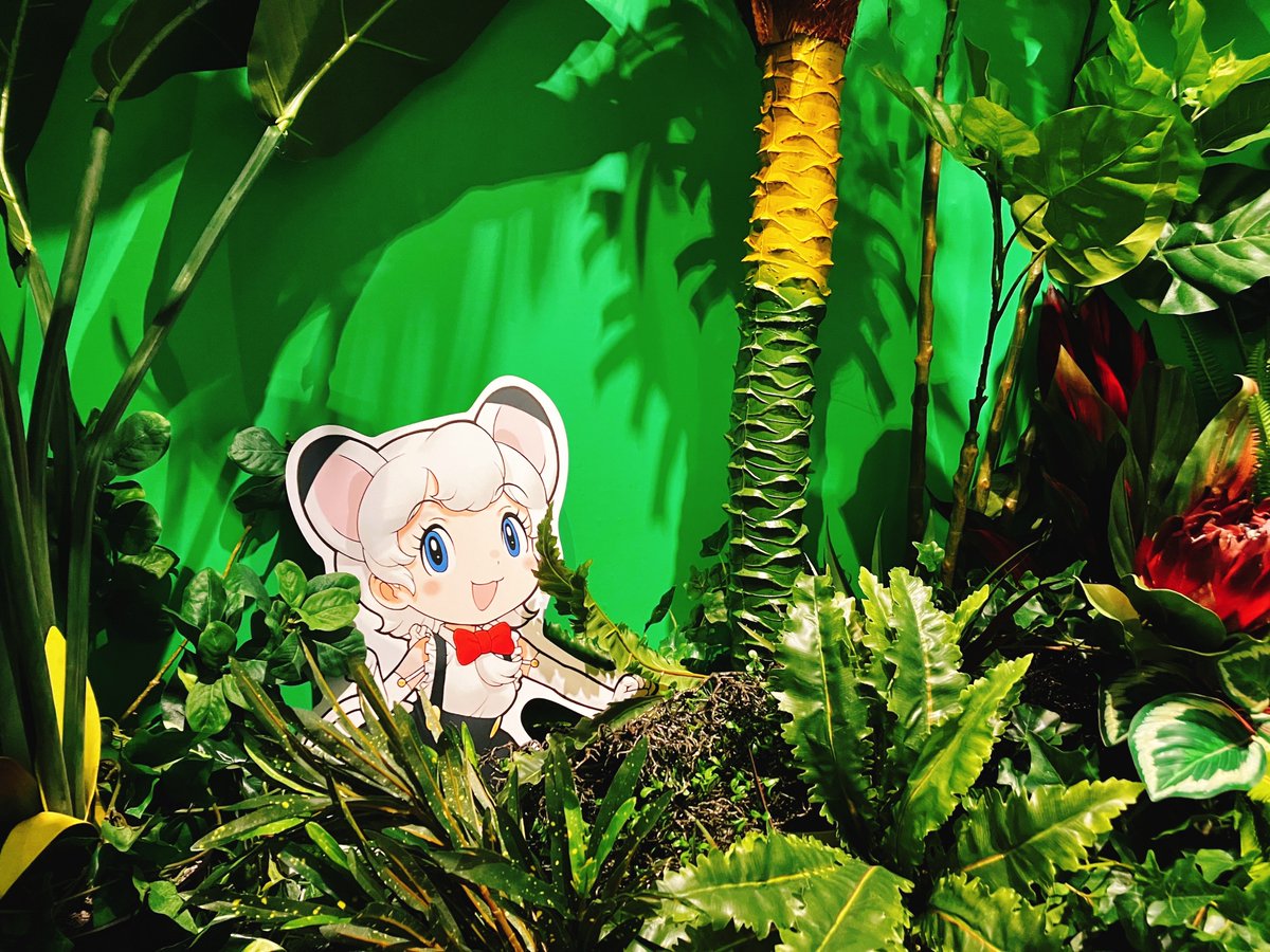 手塚治虫記念館さんで開催中の『けものフレンズ展』に行ってきましたよ！🐆💛

どのフレンズも可愛くて、みんな素敵で、見てまわるだけで1時間以上かかってしまいました〜！！☺️✨

そして、家から連れてきたL♡Lベアーズと一緒に写真が撮れたのも嬉しかったです！🐻🐻🐻📷💕

#けものフレンズ