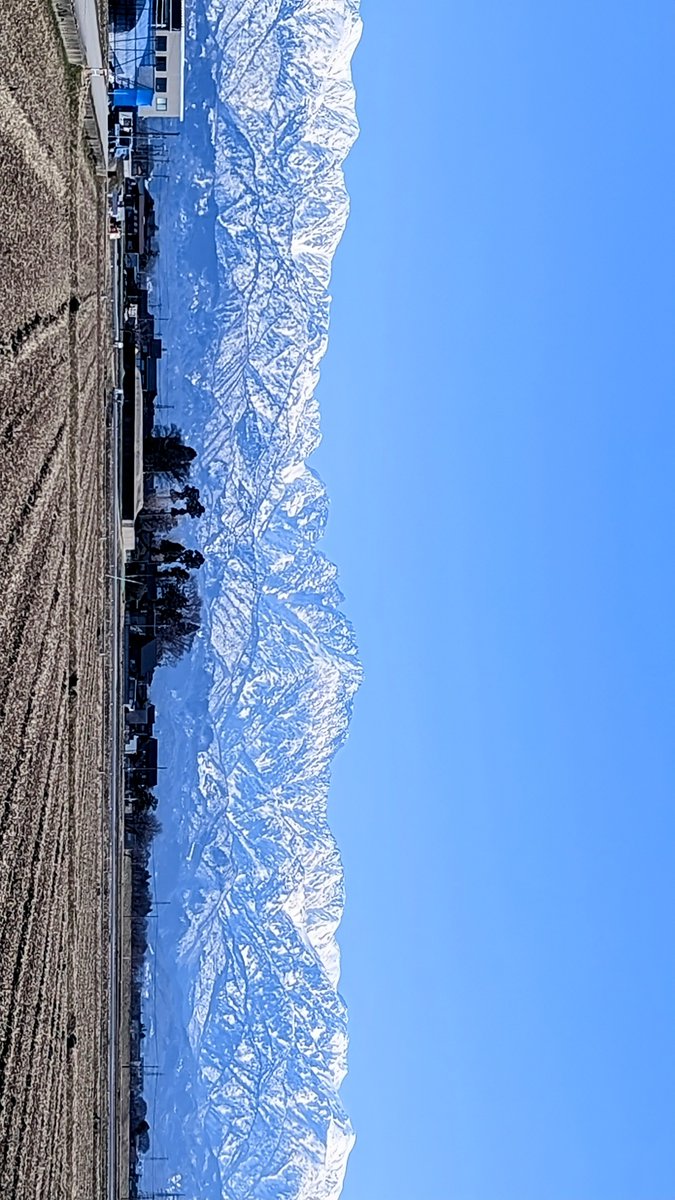 良い天気ですが、風もけっこう出てきましたね🍃