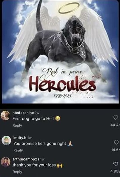 this image fryin the fuck outta me rn