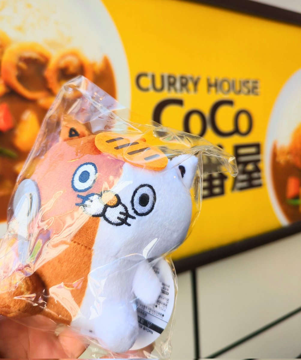 ねこの日なので(ΦωΦ)🐾✨ 前から気になってたCoCo壱にゃんこをお迎え