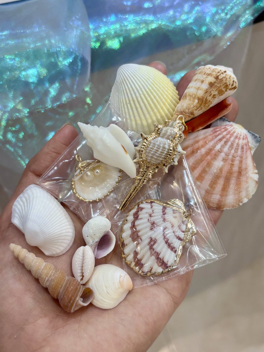 貝殻と人魚｜3/20-22 山口きらら 貝殻アクセサリー (@kaigaratoningyo