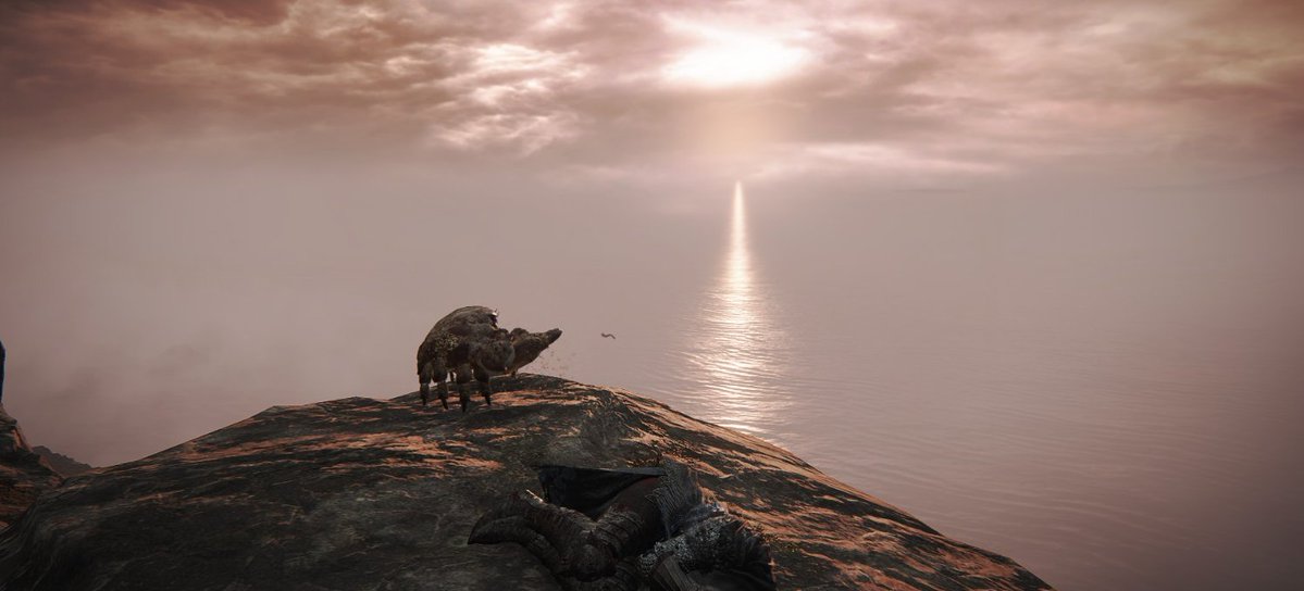 Elden Ring Randomizer means chilling with a crab while watching the sunset and playing dead.