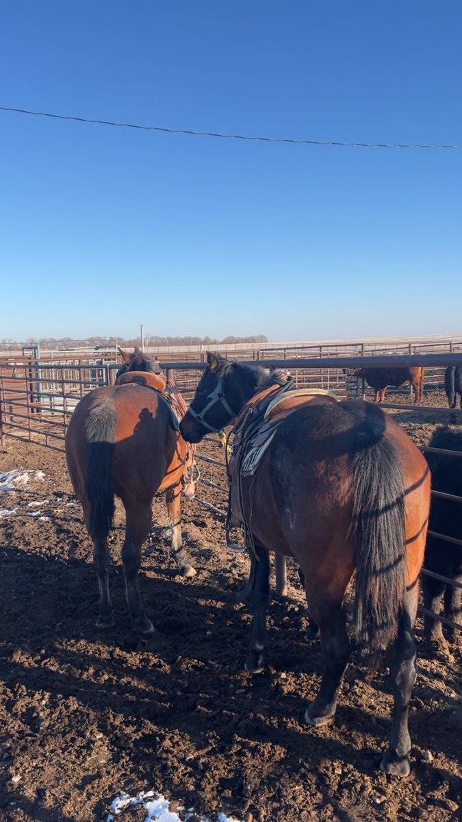 Chad Engle. tweet media