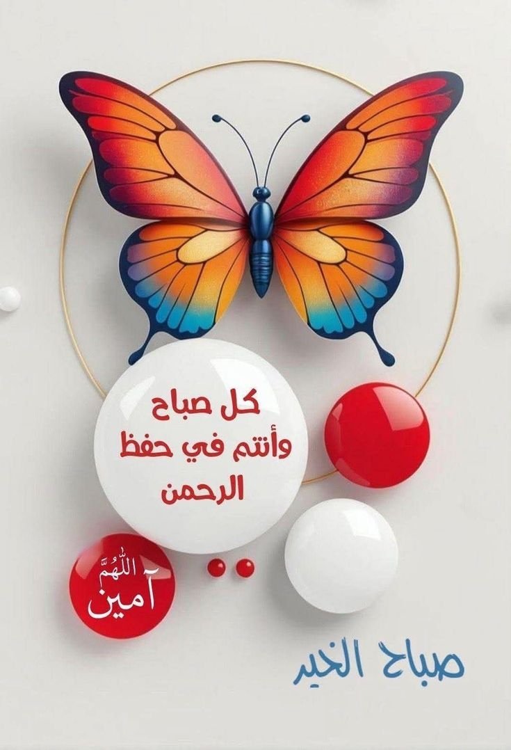 اللهم صباحاً ننال فيه كل يسير ، وينفرج فيه كل عسير ، وتقضى فيه الحوائج ، وتفتح فيه الأبواب ، وتجرى فيه الأرزاق ..
#صباح_الخير 
#صباح_الخير_والسعاده