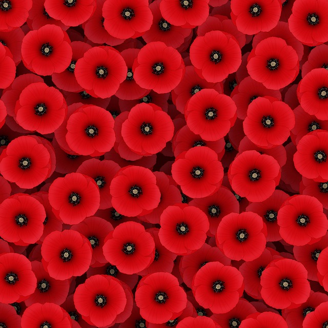 Chudai_jav_dpgK's tweet image. A special thanks to Chloe for being there, and changed my perspective. 🔥