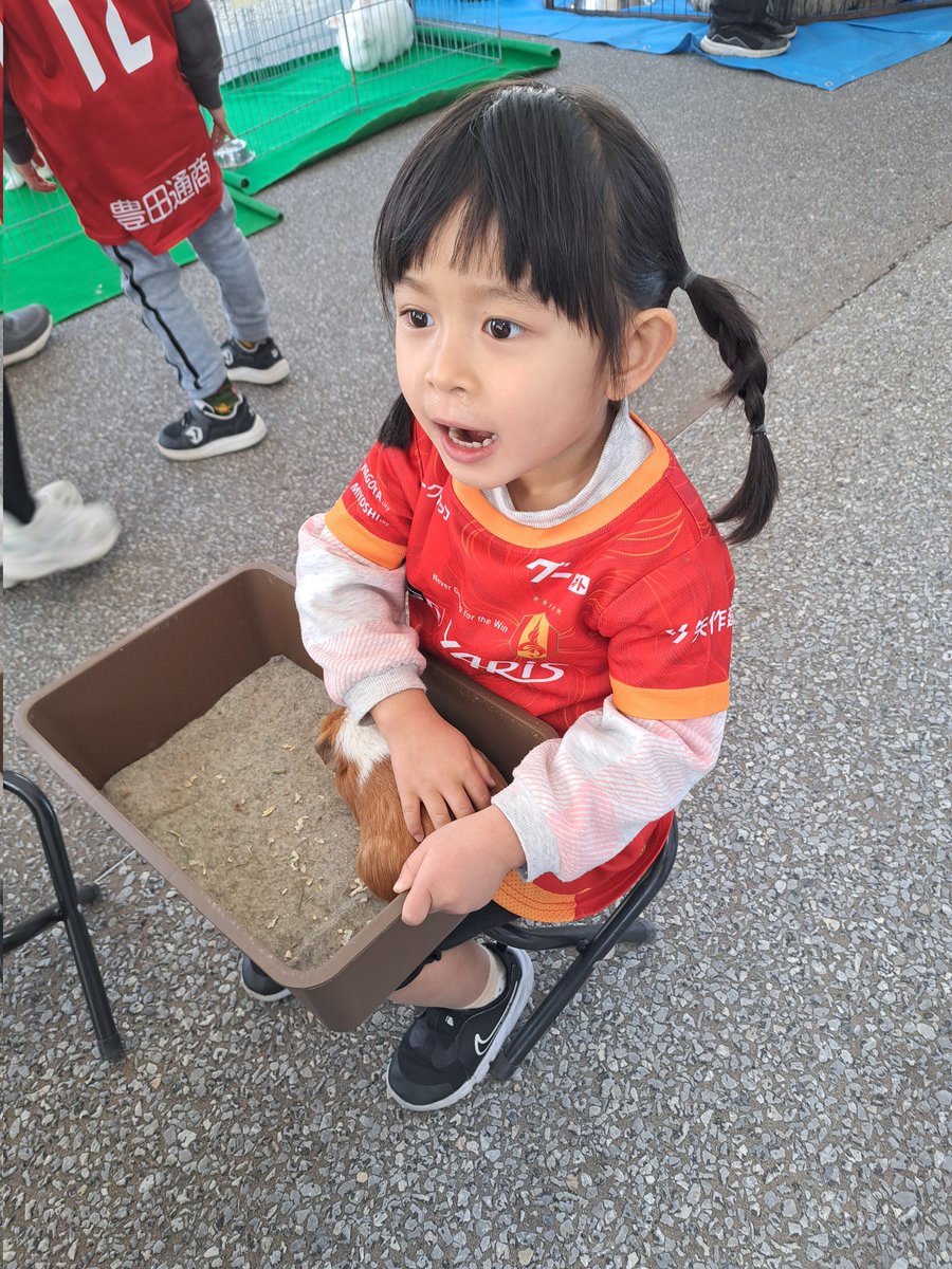 うちの子は昨日満喫して楽しそうで良かった😁😂 いちご飴ないの泣いて