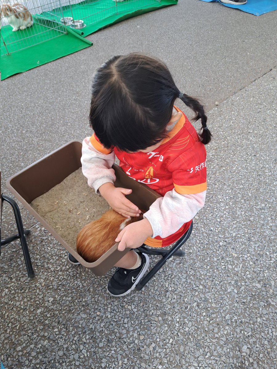 うちの子は昨日満喫して楽しそうで良かった😁😂 いちご飴ないの泣いて