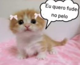 marijamia's tweet image. eu quando descobri que n podia engravid4r