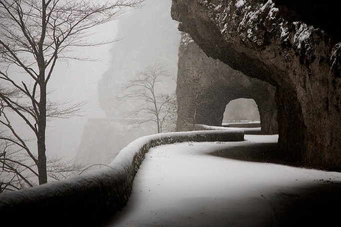 𝘄𝗮𝗻𝗱𝗲𝗿𝘁𝗿𝗮𝘃𝗲𝗹𝘀 tweet media