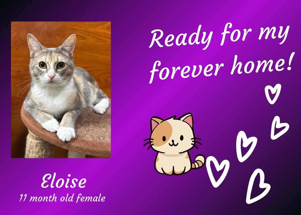 K-FROG Radio tweet media