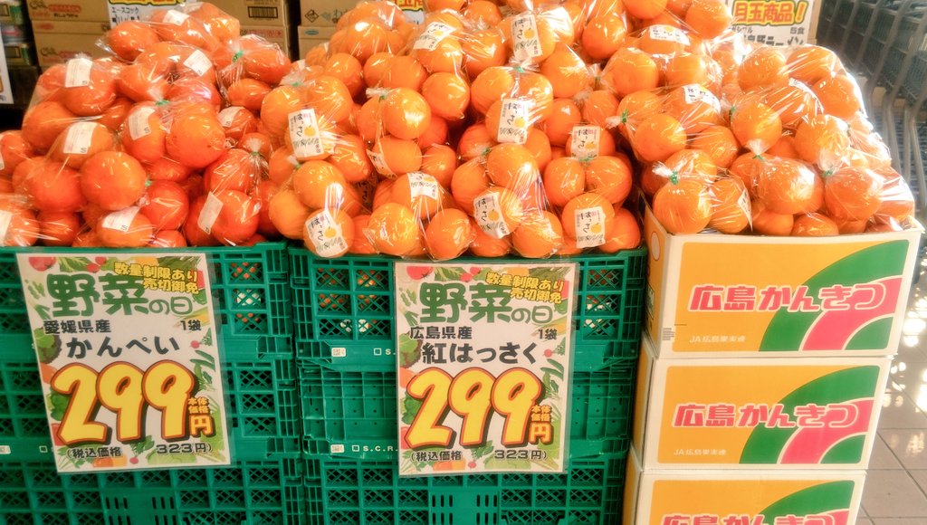 毎週日曜日は！ ＼ #野菜の日 ✨／ ╲本日のオススメ🥦🥬／ お野菜が