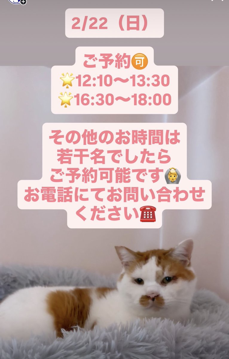 猫の日効果か、久しぶりに若干混雑しそうな予感です😳 小さなお店です
