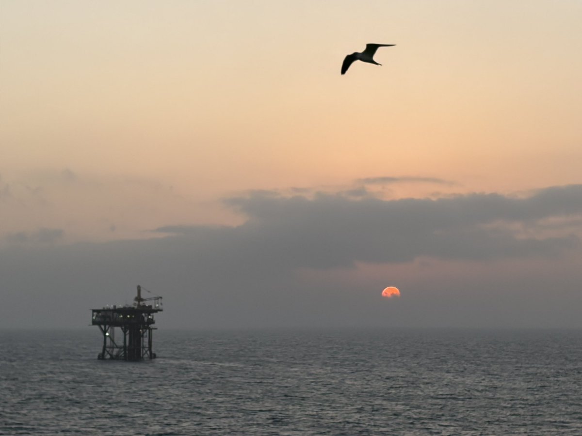 SheSaysBadWords's tweet image. RT @BudLightSadness: Is good picture