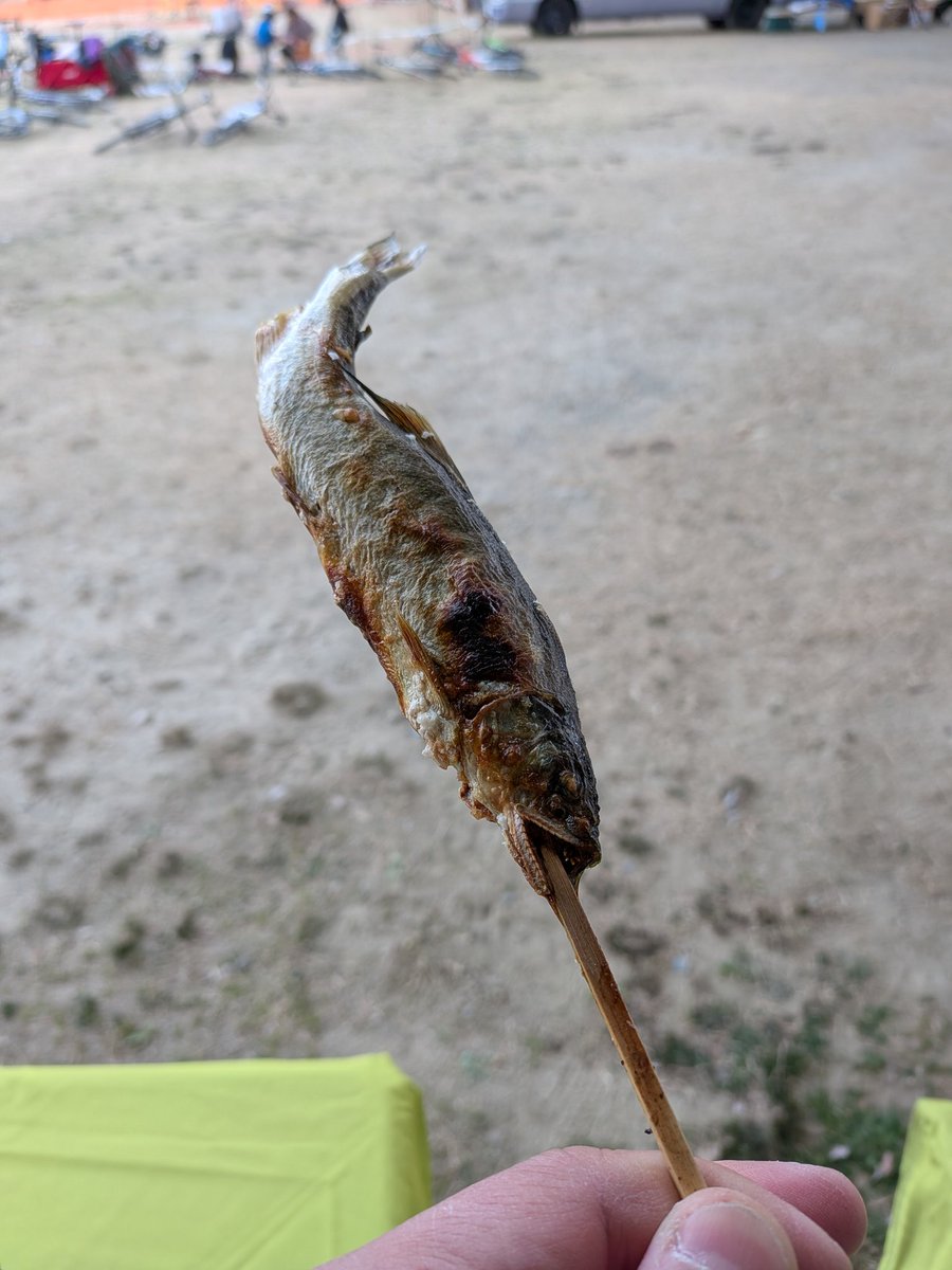 東海CX千石公園な皆様。みのわ食堂さんの鮎の塩焼きが本気で旨い！焼き