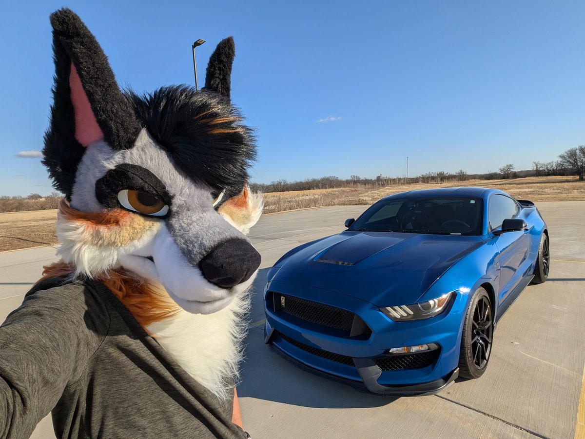 Harvest 🍁🍂 LVFC tweet media