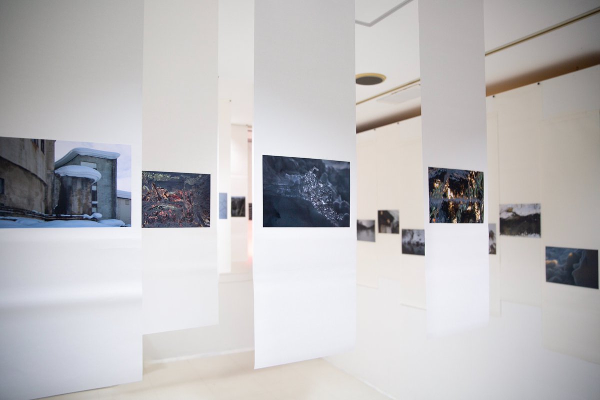 ✧ Zoetica Ebb ✧ tweet media