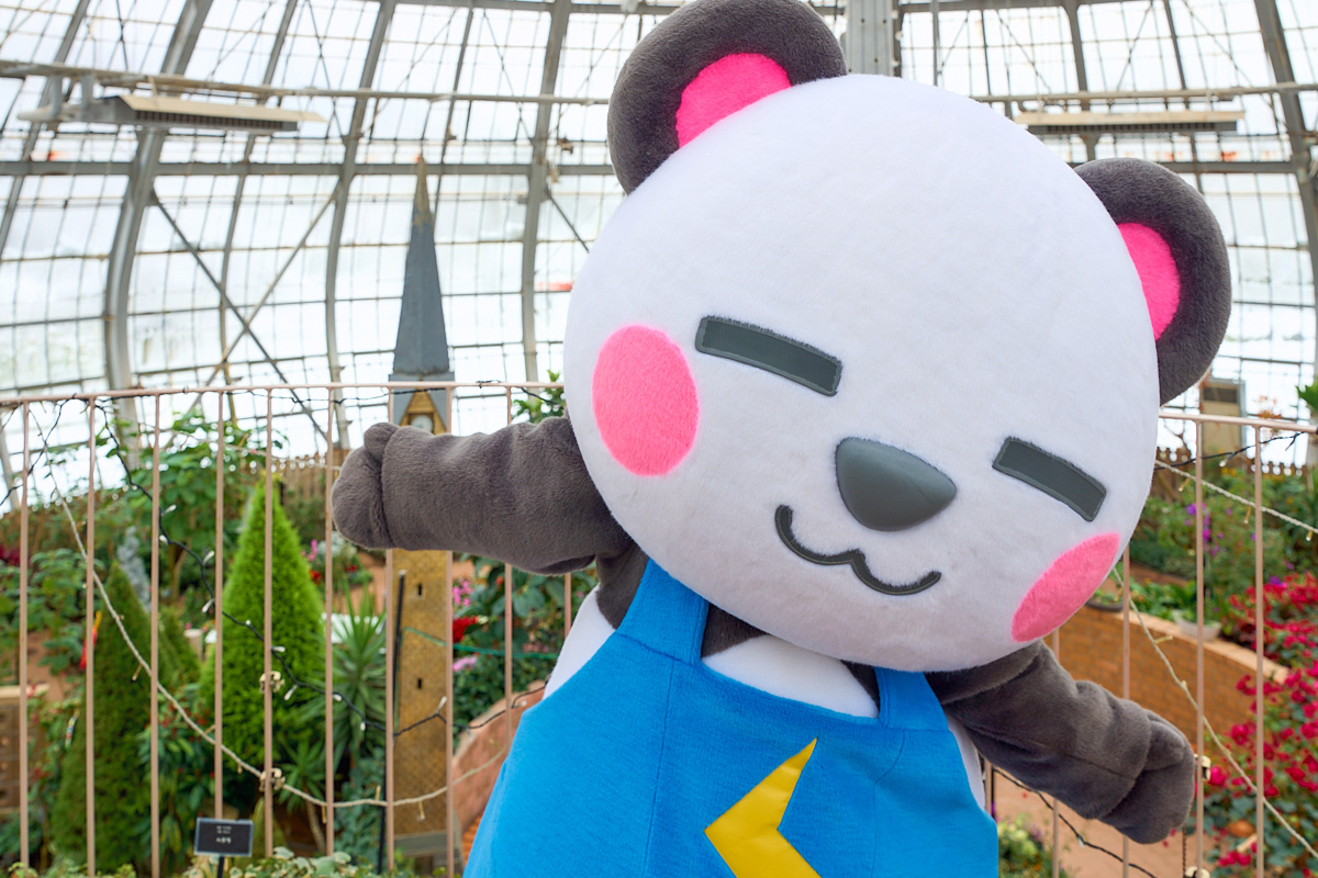 さかいさんだー🐼 (@Sakai_Thunder) / Highlights / X