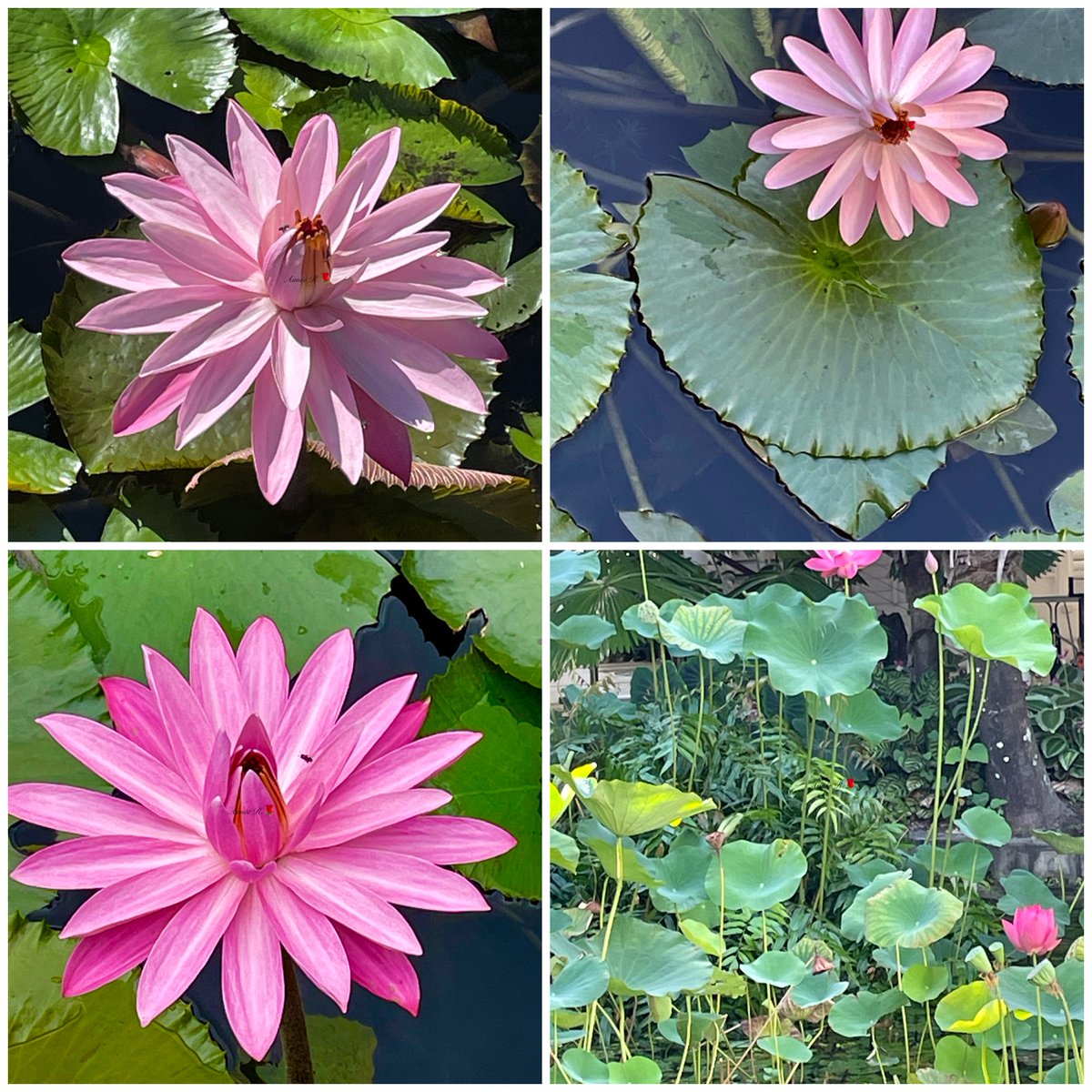 juju52🛫✨ (@juju521) / Posts / X