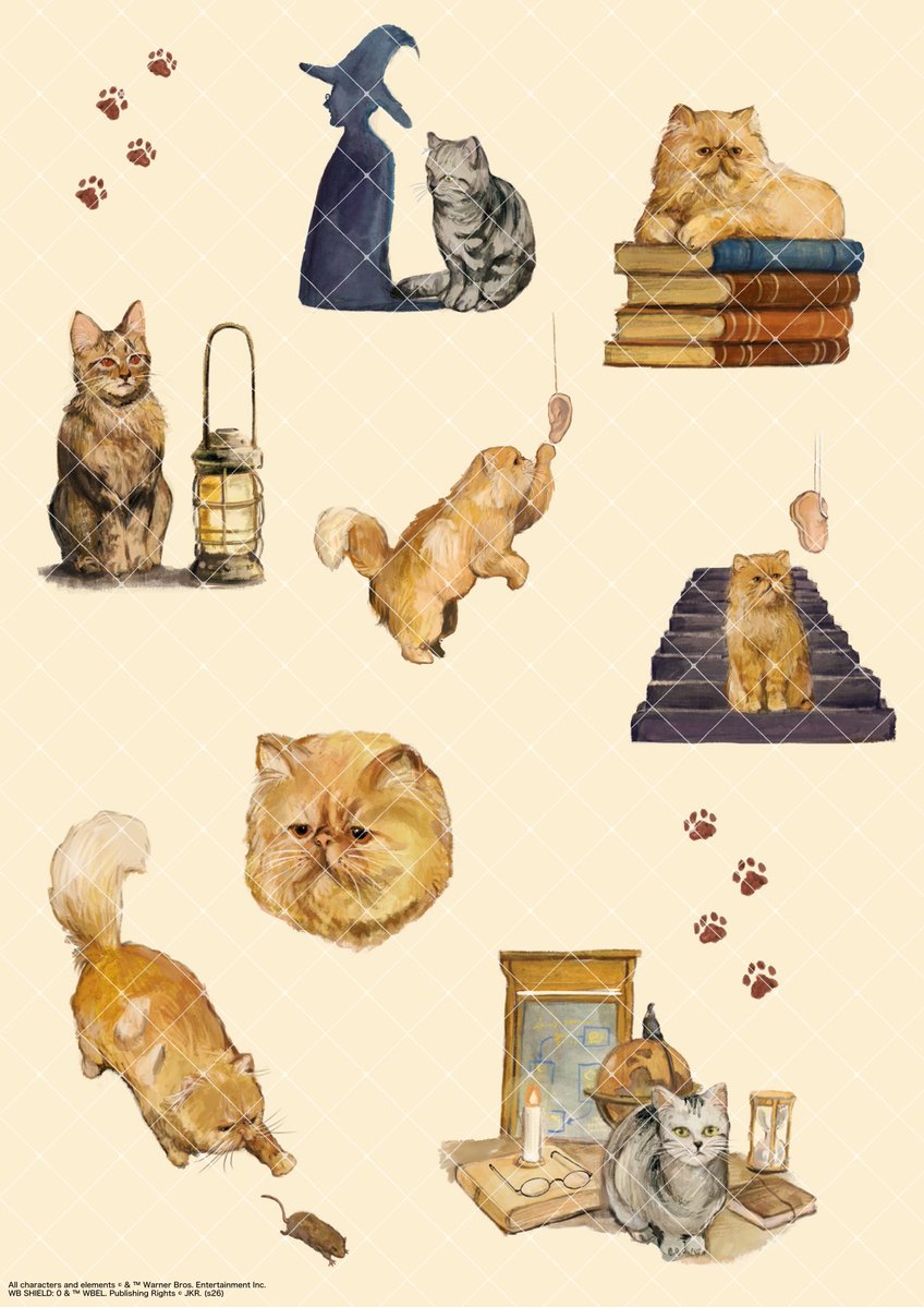 ねこ助 (@m_oxo) / Posts / X