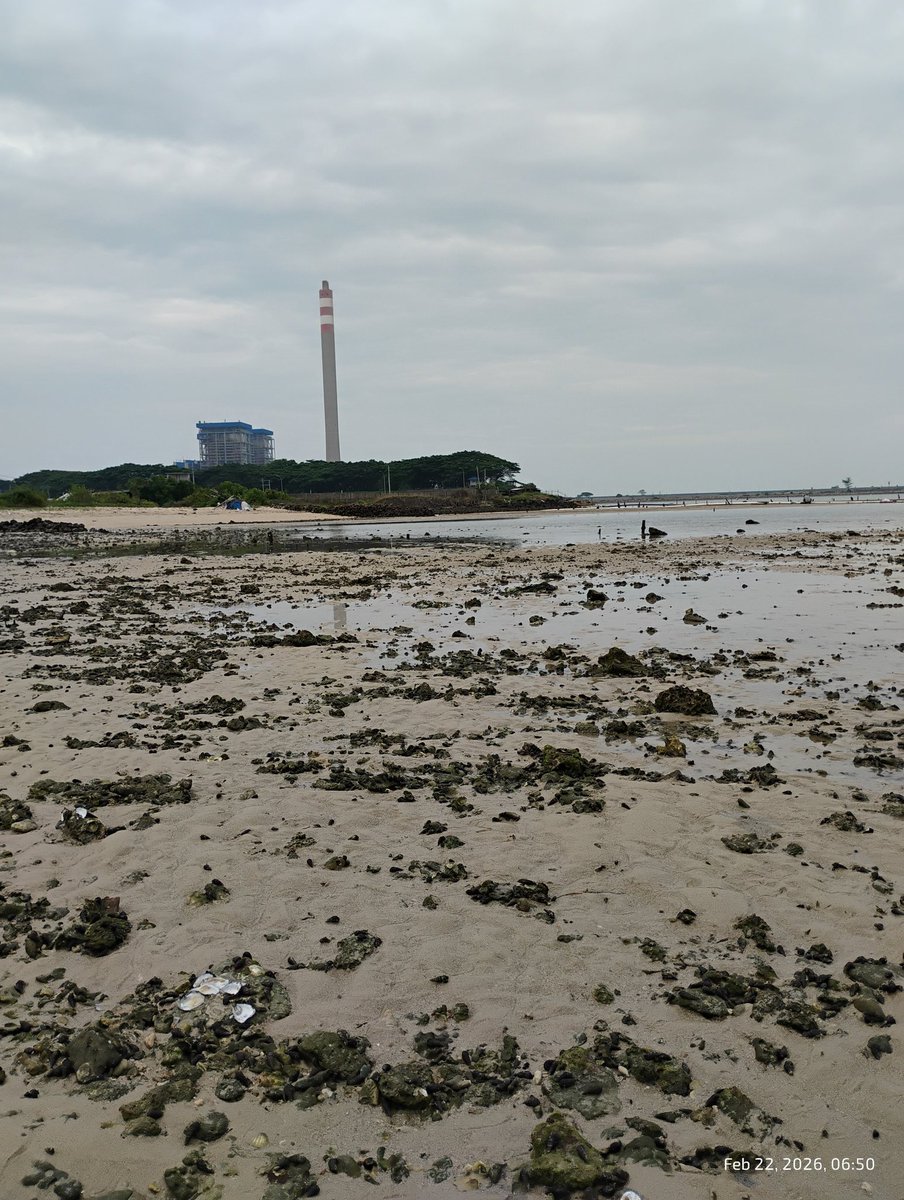 Ketika laut surut...