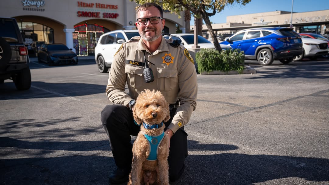 inquirerdotnet's tweet photo. JETBLUE LANDED IN HIS FOREVER HOME 🐾💙

LOOK: The two-year-old golden doodle/mini poodle abandoned at a Las Vegas airport has found his new home.

One of his rescuers, Las Vegas Metropolitan Police Department (LVMPD) Officer Skeeter Black, welcomed the pup, now named JetBlue, into his family after thousands applied to adopt him.

“We only have one JetBlue, but we have many other amazing dogs just like him who are also waiting for their second chance. If your heart was moved by his story, we hope you’ll consider one of them, too,” nonprofit organization Retriever Rescue of Las Vegas urged applicants.

JetBlue was left tied to a baggage sizer at the JetBlue ticket counter at Harry Reid International Airport on Feb. 2 after his previous owner was denied a boarding pass for incomplete paperwork to travel with the dog. The owner was arrested and charged with animal abandonment. | 📷: Retriever Rescue Las Vegas, LVMPD/Instagram