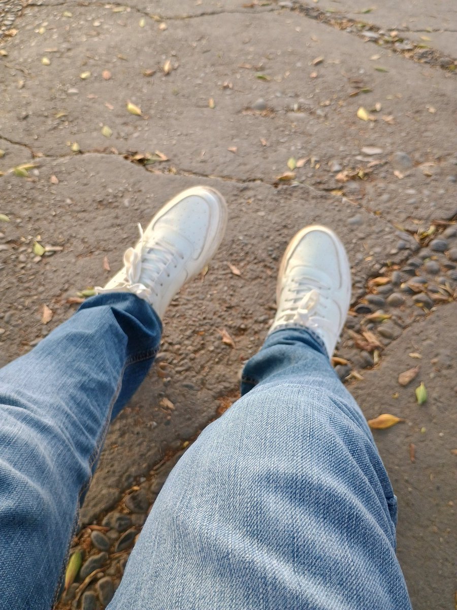 Esperando que comience el papaqui🤭🤭🤭🤭