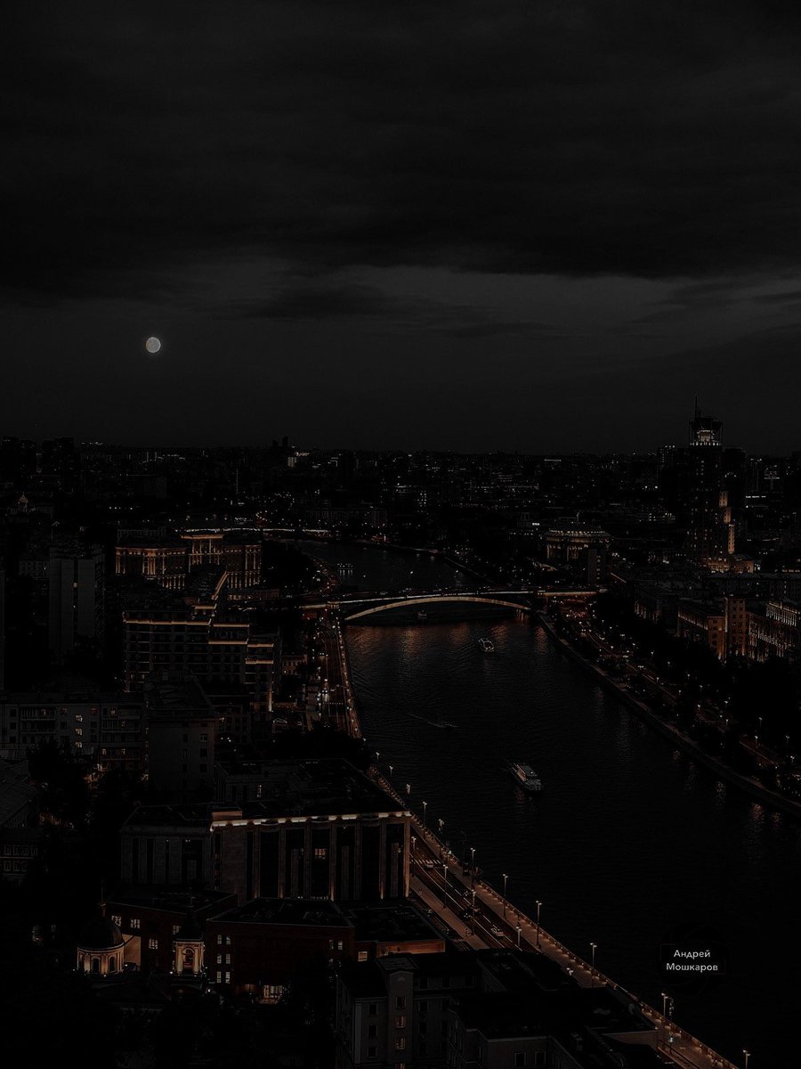 shane hollanderโs husband โก tweet media