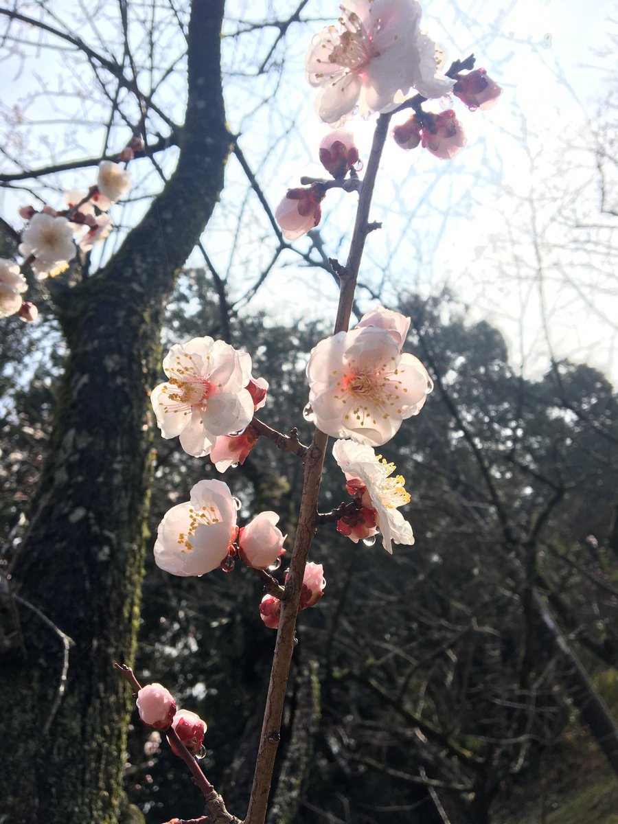 okaokari's tweet photo. おはよう。 https://t.co/rbk8YwJIXo