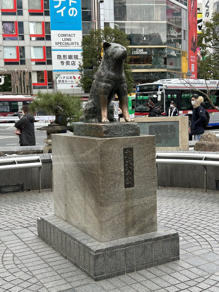 blue10082's tweet photo. 久しぶりの渋谷🐕
行きたかった渋谷スカイへ
#渋谷
#渋谷スカイ
#SHIBUYASKY https://t.co/fii2sLfYn3