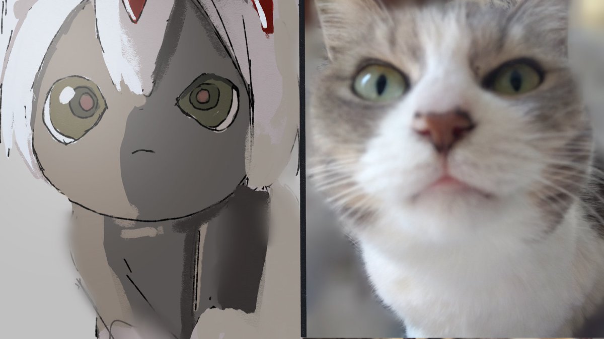 ドルト tweet media