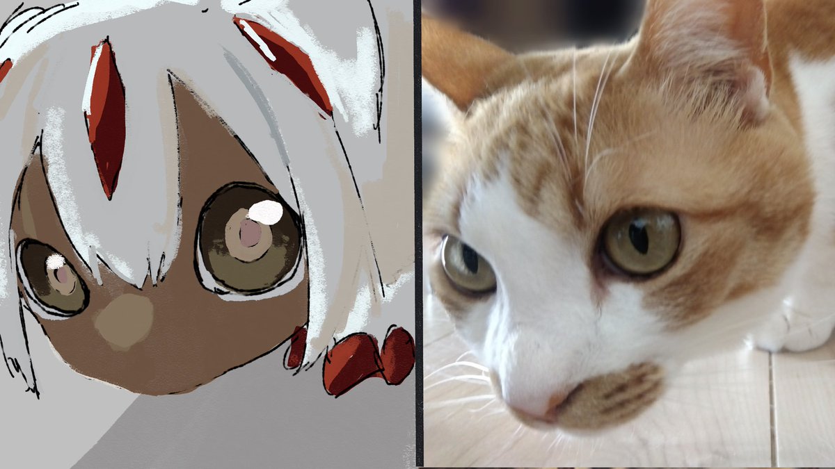 ドルト tweet media