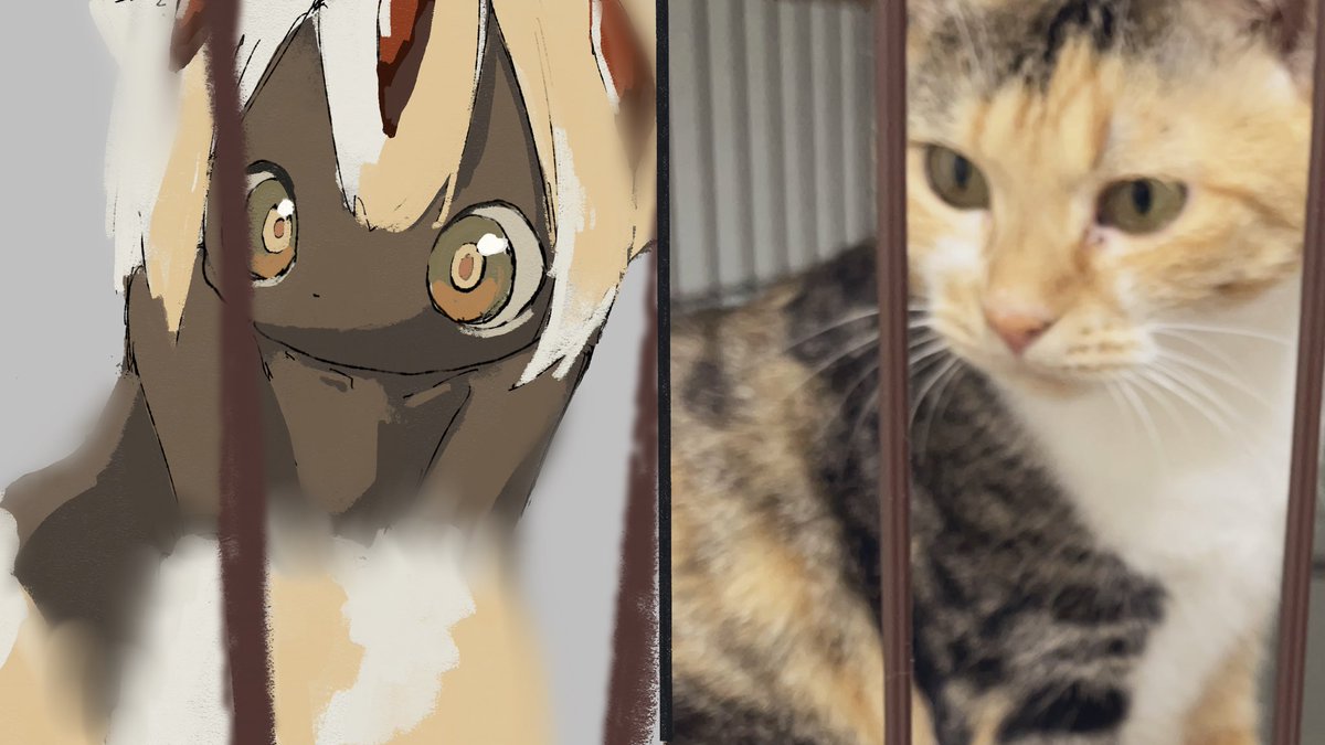 ドルト tweet media